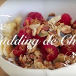 Vídeo: Pudding de chia y coco