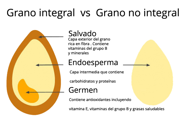 alimentos-integrales-vs-no-integrales_zpsxrkyxxok